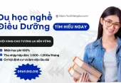 Du học nghề Đức ngành Điều dưỡng: Chi phí, điều kiện và công việc hót