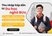 Lương các ngành du học nghề Đức: Trung bình bao nhiêu? Ngành nào cao nhất?