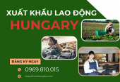 Cơ hội xuất khẩu lao động Hungary: Thu nhập, ngành nghề nổi bật & yêu cầu cần biết