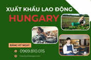 Cơ hội xuất khẩu lao động Hungary: Thu nhập, ngành nghề nổi bật & yêu cầu cần biết