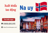 Xuất khẩu lao động thời vụ Na Uy: Mức lương, công việc phổ biến & điều kiện mới nhất