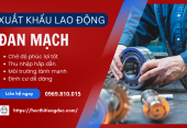 Xuất khẩu lao động Đan Mạch: Lương, ngành nghề tuyển dụng & điều kiện