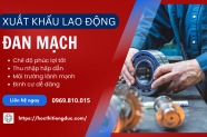 Xuất khẩu lao động Đan Mạch: Lương, ngành nghề tuyển dụng & điều kiện