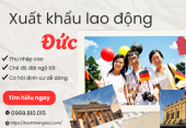 Xuất khẩu lao động Đức: Lương bao nhiêu? Chọn ngành nào? Điều kiện và thủ tục